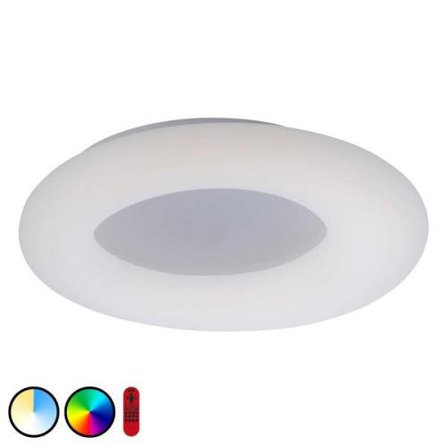 LOLAsmart Donut LED-loftlampe, Ø 60 cm