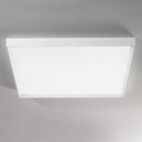 Tara mega LED-loftlampe, 89 cm x 89 cm