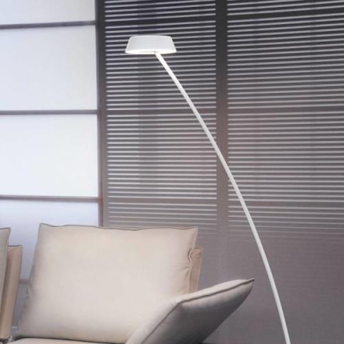 OLIGO Glance LED-gulvlampe buet mat hvid