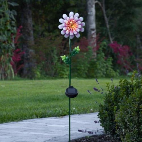 LED-solcellelampe Pink Daisy i blomsterform