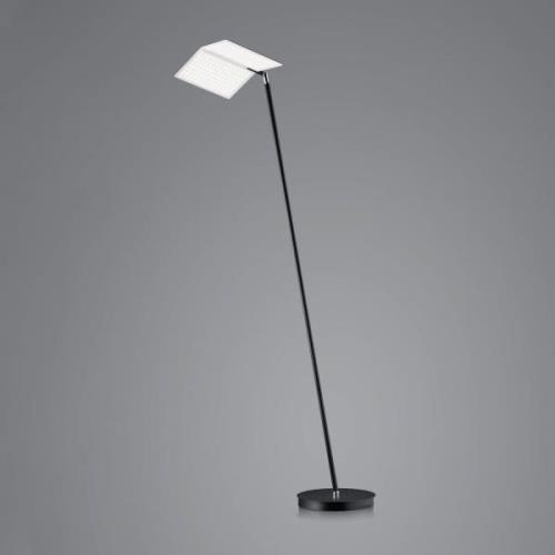 BANKAMP Book 2.0 LED-gulvlampe ZigBee, sort