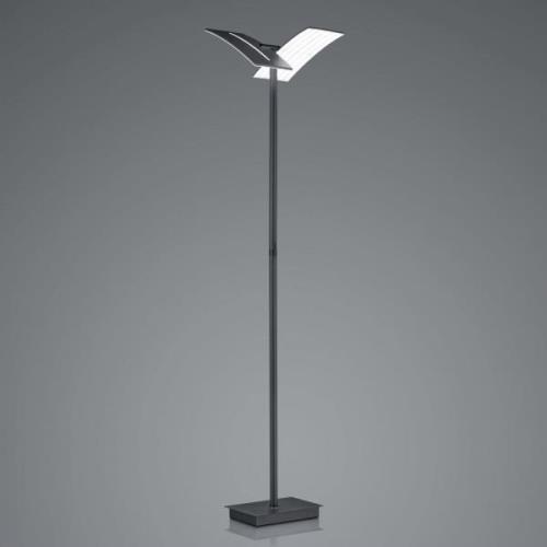 LED-gulvlampe Dual CCT, dæmpbar, sort