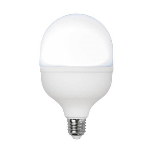 LED-pære E27 30 W 6.500 K 4.000 lumen, rund