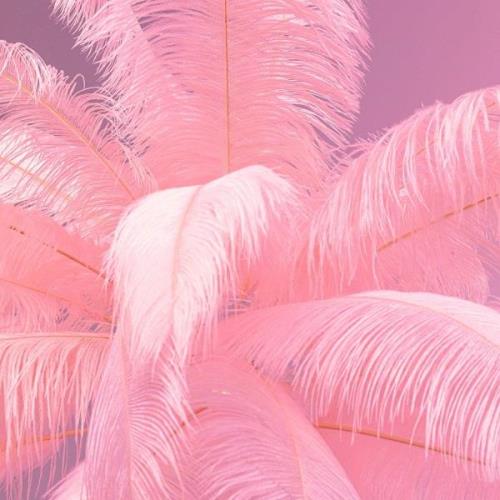 KARE Feather Palm gulvlampe med fjer, pink