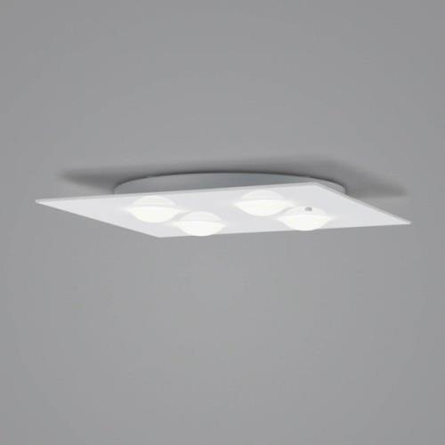 Helestra Nomi LED-loftlampe 38x38cm dim hvid