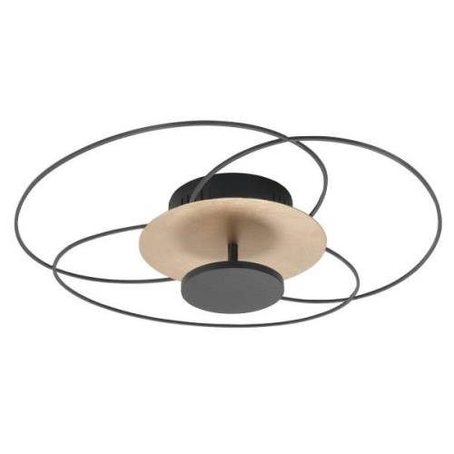 Fiore LED-loftlampe, 2.700 K, sort/guld