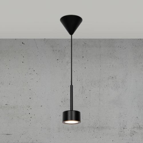 Clyde LED-pendel, én lampe, dæmpbar