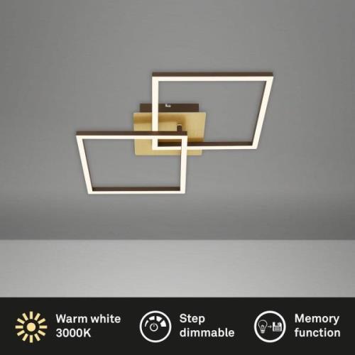 LED-loftslampe Frame, guld, dæmpbar, 2-lys