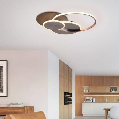 Paul Neuhaus Palma LED-loftlampe CCT rund