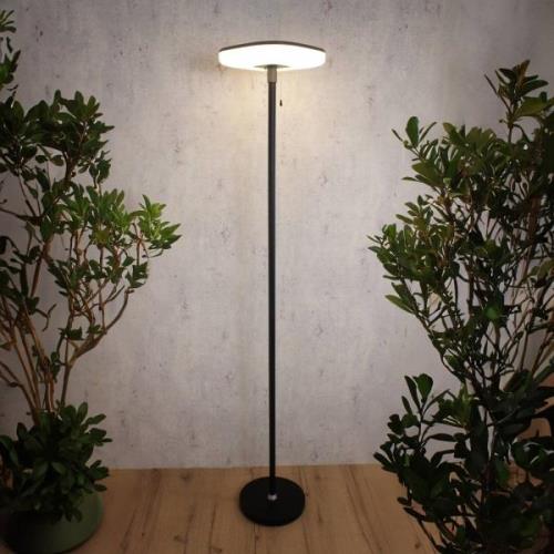 Solara LED genopladelig solcelle-gulvlampe, sort, højde 170 cm, alumin...