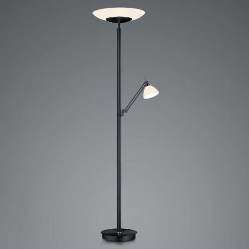 Findus LED-gulvlampe, 2 lyskilder, sort