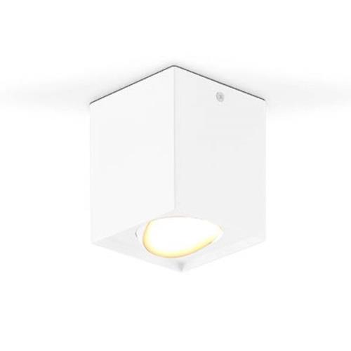 EVN Kardanus LED-loftlampe, 9x9cm, hvid