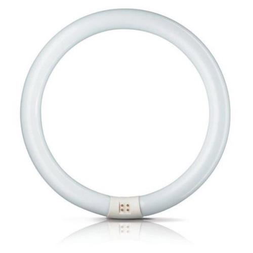 G10q 32W 865 ring-lysstofrør Master Circular TL-E