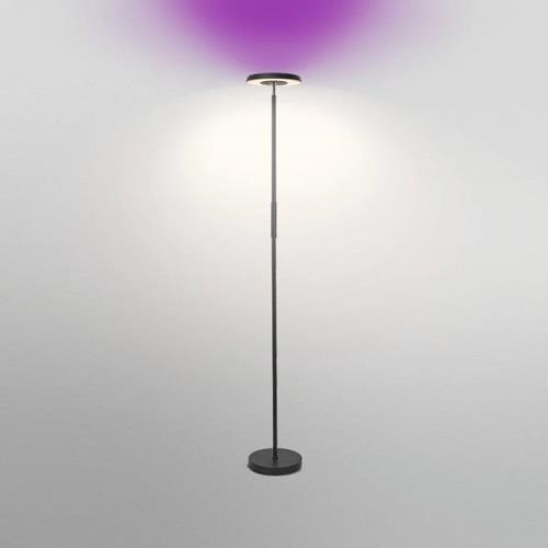 LEDVANCE SMART+ WiFi LED-gulvlampe up/down RGBW