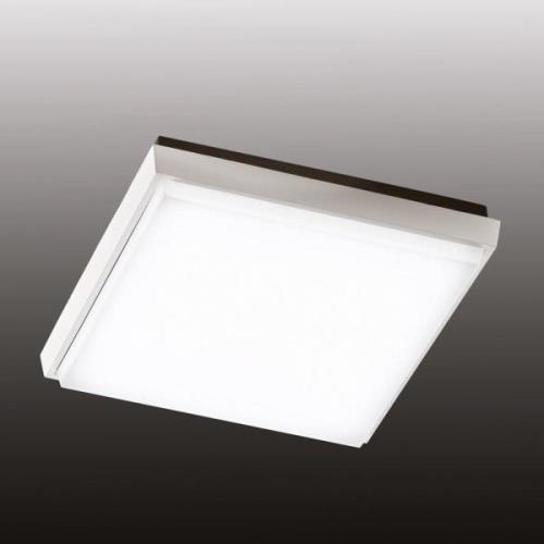 Desdy LED udendørs loftlampe, 24 x 24 cm, hvid