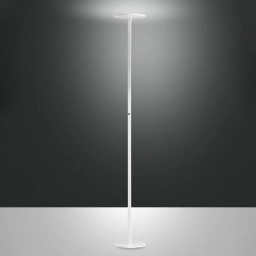 Regina LED-gulvlampe, hvid, CCT, dæmpbar, højde 180 cm