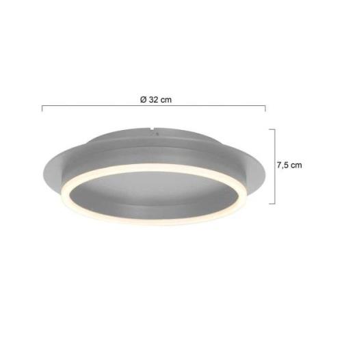 Ringlux LED loftlampe, stålfarvet, Ø 32 cm, metal