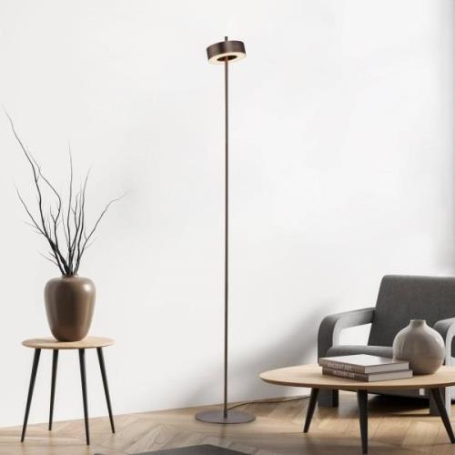 Paul Neuhaus LED-gulvlampe Q-Rotate mørkebrun 140 cm