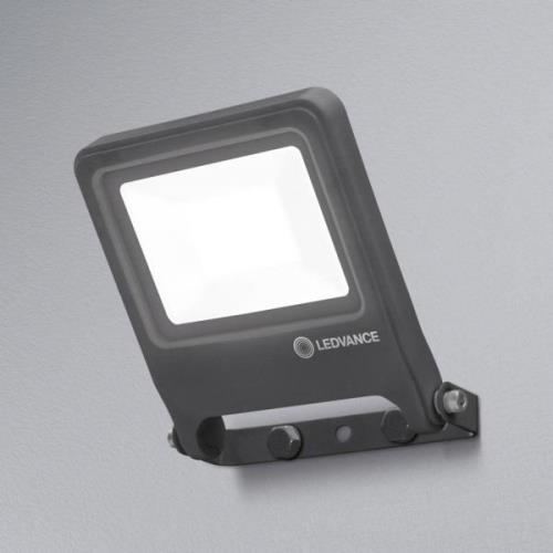 LEDVANCE Endura Floodlight LED udendørs spot 20W