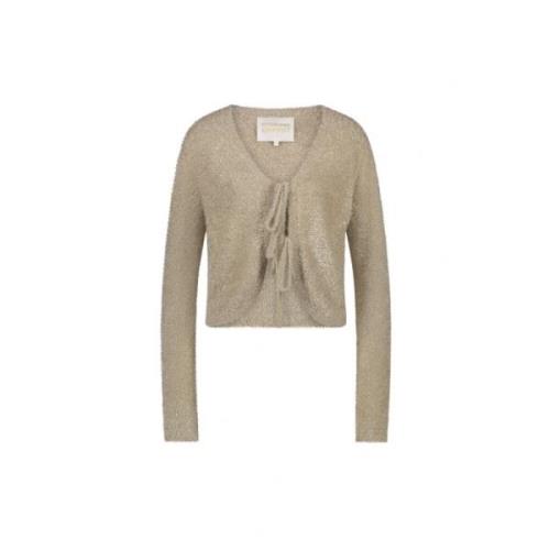 Guld Glitter V-Hals Cardigan