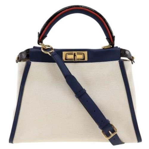 Pre-owned Canvas fendi-tasker