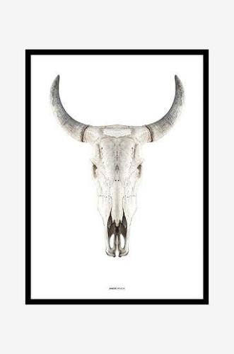 Billede Cow skull