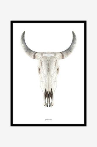 Malerifabrikken - Billede Cow skull - Beige - Billeder - - Homeroom