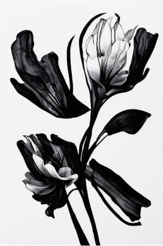 Pelcasa - Plakat Black Flower - Beige - Posters - - Homeroom