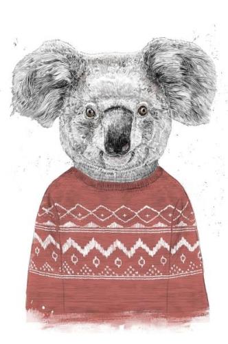 Pelcasa - Plakat Winter Koala (Red) - Hvid - Posters - - Homeroom