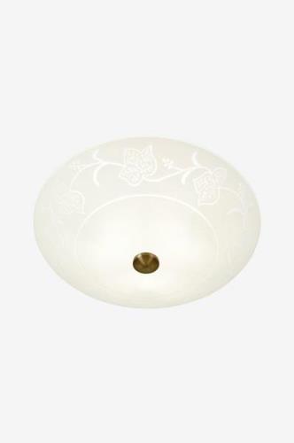 Aneta Lighting - Plafond ANETA VINRANKA - Bronze - Plafonder - - Homer...