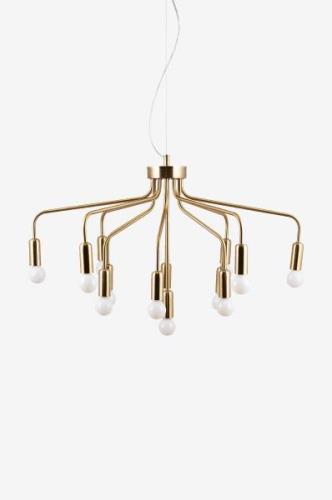 Globen Lighting - Pendellampe Roots 70 - Guld - Loftpendler - - Homero...