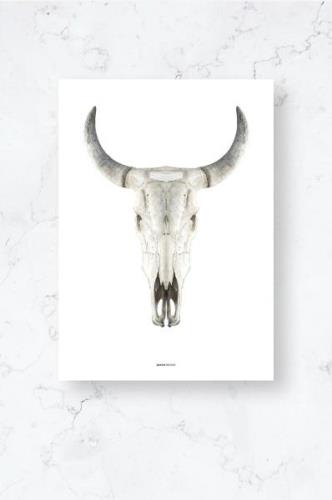 Malerifabrikken - Plakat/Cow skull/Plano - Hvid - Posters - - Homeroom