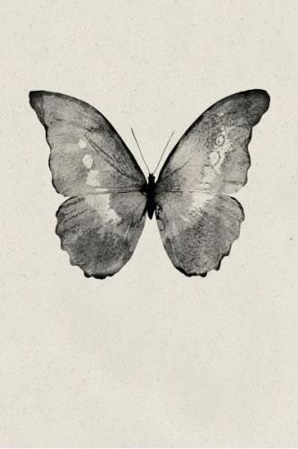 Malerifabrikken - Plakat Black Butterfly - Beige - Posters - - Homeroo...