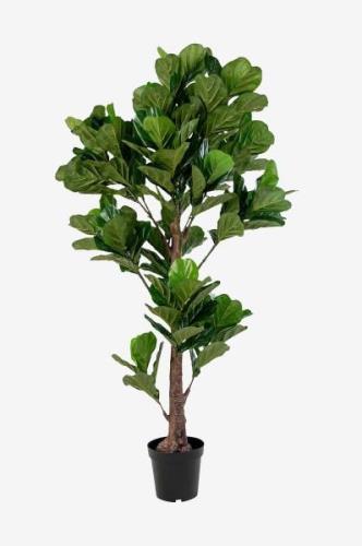 Potteplante Fiddle, kunstig, H190 cm