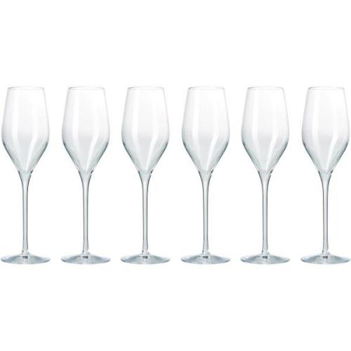 Aida Passion Connoisseur Champagneglas 6 stk.