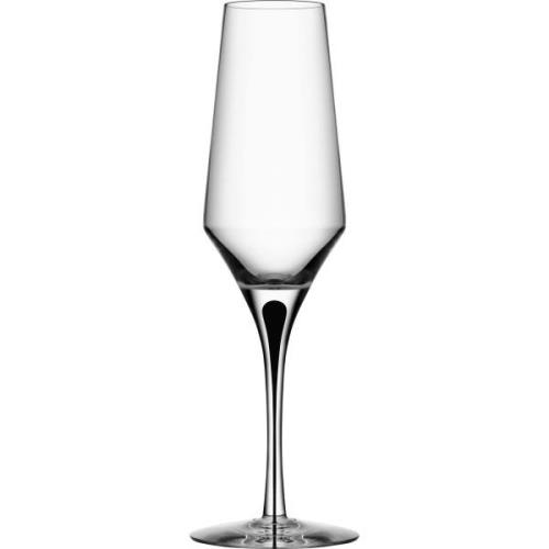 Orrefors Metropol Champagneglas 27cl