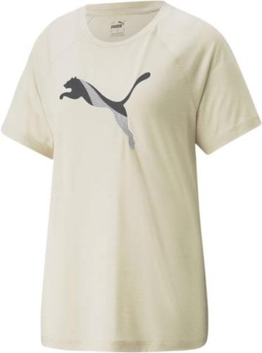 Puma Evoipe Tshirt L - Trænings T-shirts Polyester hos Magasin