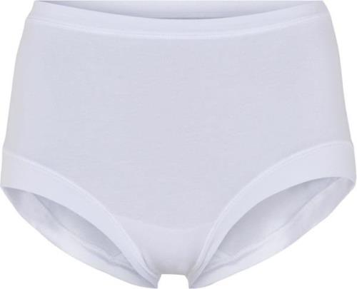 JBS of Denmark JBS of DK Maxi Bamboo Briefs Str L - hos Magasin