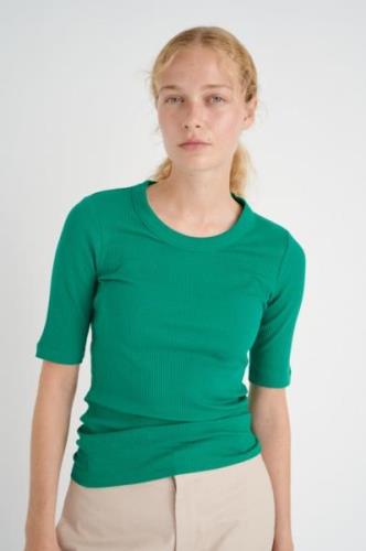 InWear Dagnaiw Tshirt Kvinde Emerald Green Kortærmede T-shirts Slim Fi...