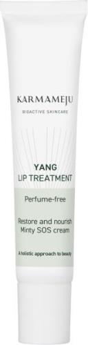 Karmameju Skincare Lip Treatment, Yang, 12 ml - Læbepomade hos Magasin