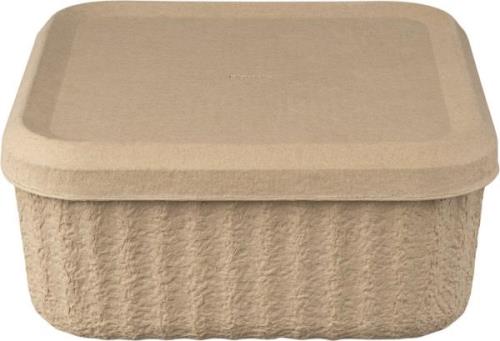 Blomus Set 2 Moulded Paper Pulp Boxes Redo- Size M 0008 - Kurve hos Ma...