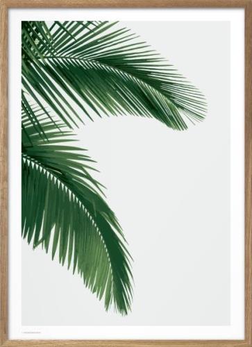 Poster & Frame Wonderhagen Palm Plakat Grøn Str 50x70 cm - Plakater ho...