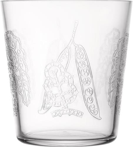 Iittala Taika Sato Drikkeglas 38cl Klar 2 stk Klar - Vandglas Glas hos...