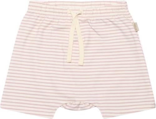 PETIT PIAO Shorts Sum Printed Str 80 cm - Rose Smoke Shorts & Bloomers...