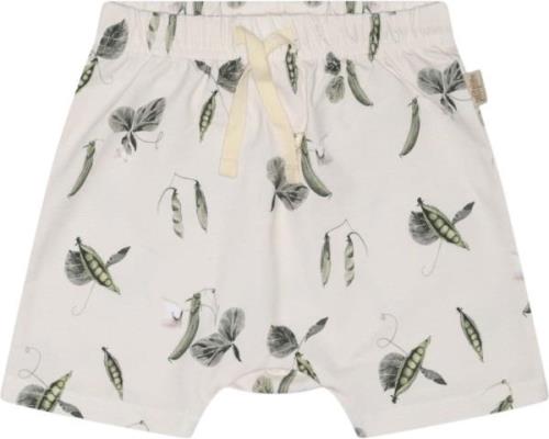 PETIT PIAO Shorts Sum Printed Str 80 cm - Pea Flower Shorts & Bloomers...