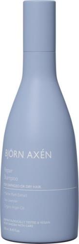 Björn Axén Repair Shampoo 250 ml. 250 ml - Shampoo hos Magasin