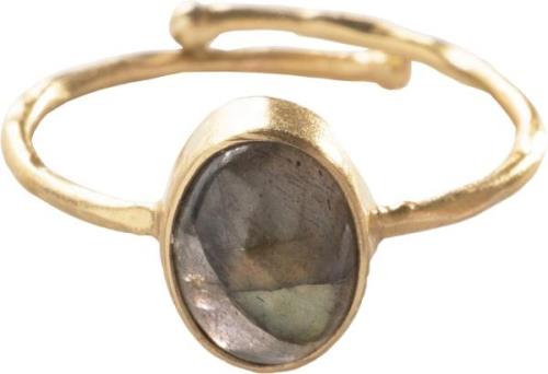 A Beautiful Story Visionary Labradorite Ring GP inner 16mm, adjustable...