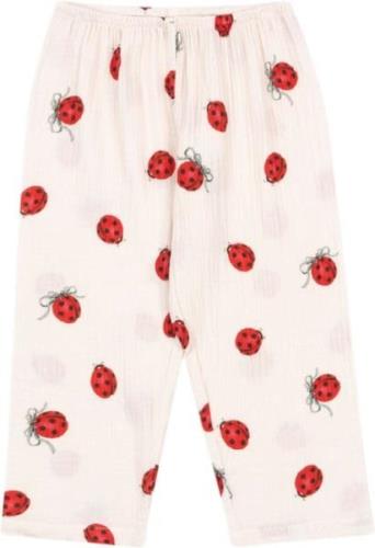 Konges Sløjd Coco Ladybug Pants Gots Str 18M - P10124 Bluser hos Magas...